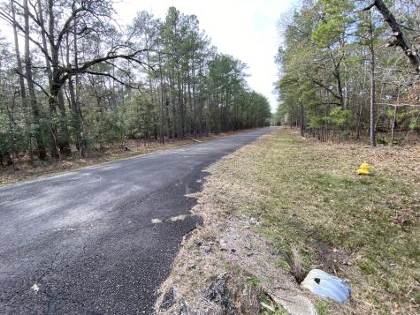 24418 Gleneagles Huntsville TX 77320