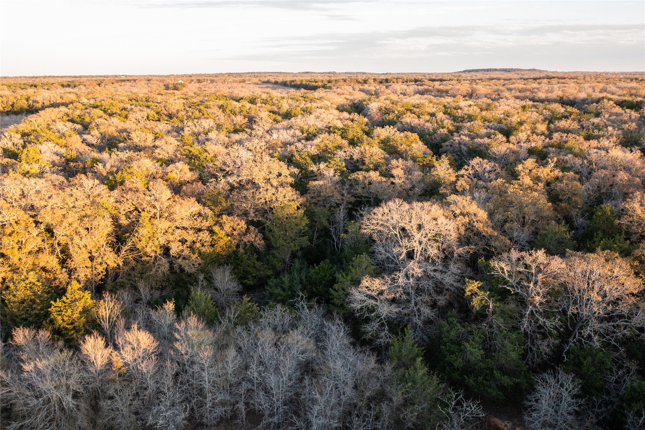 0000 Tbd 21+/- Ac Grassyville Road Paige TX 78659