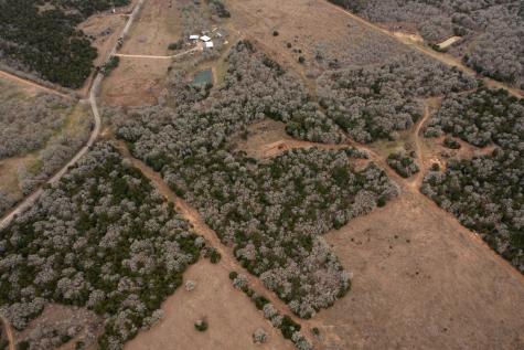 0000 Tbd 21+/- Ac Grassyville Road Paige TX 78659