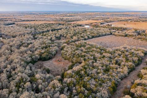 0000 Tbd 21+/- Ac Grassyville Road Paige TX 78659