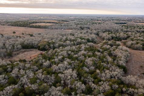 0000 Tbd 21+/- Ac Grassyville Road Paige TX 78659