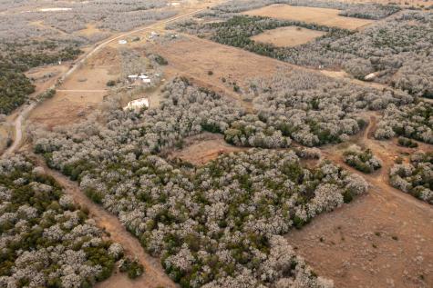0000 Tbd 21+/- Ac Grassyville Road Paige TX 78659