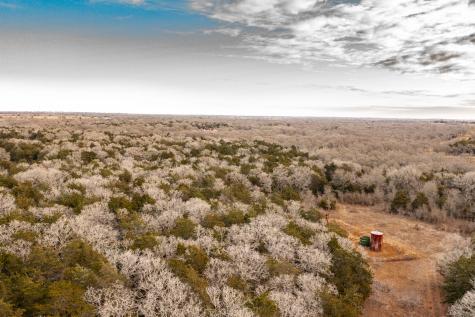 0000 Tbd 21+/- Ac Grassyville Road Paige TX 78659