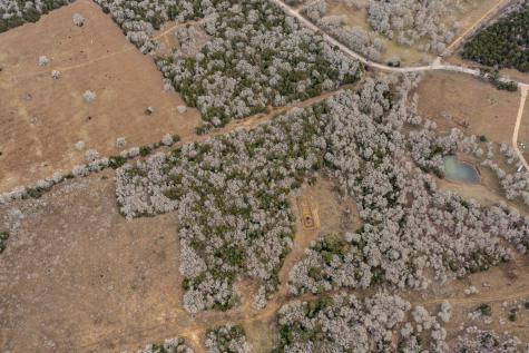 0000 Tbd 21+/- Ac Grassyville Road Paige TX 78659
