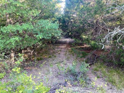 0000 Tbd 21+/- Ac Grassyville Road Paige TX 78659