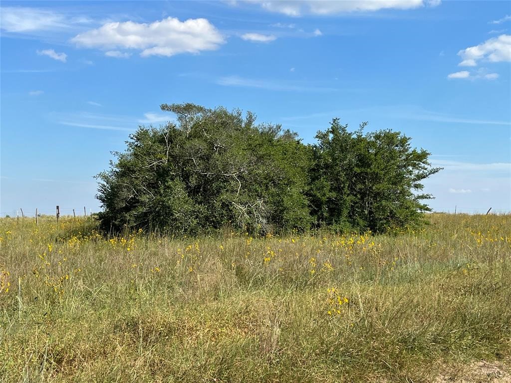 000 Crooked Road Cat Spring TX 78933