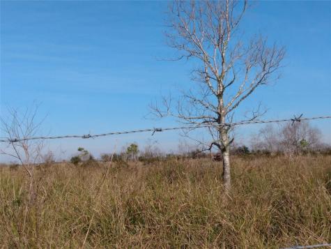00 Belton Lane Extension Anahuac TX 77514