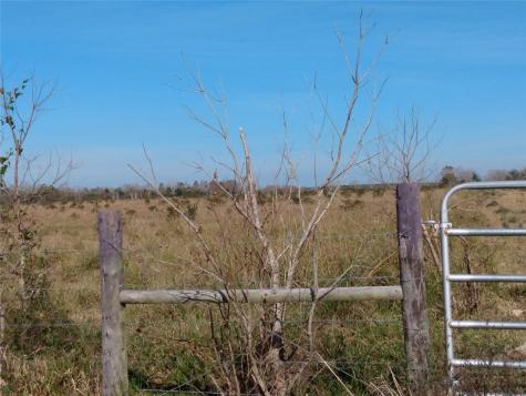 00 Belton Lane Extension Anahuac TX 77514