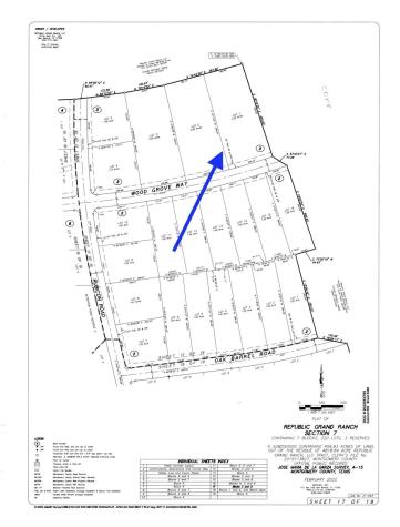 15522 Wood Grove Way Willis TX 77378
