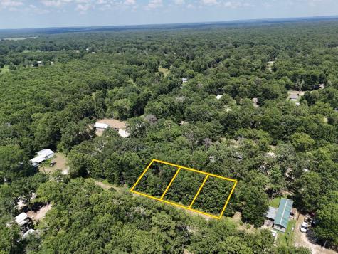 Lots 265-267 Knottypine Livingston TX 77351