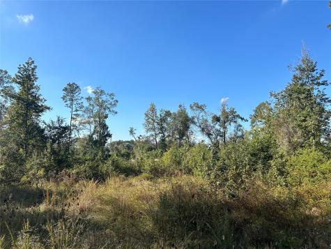 Lot 16 County Road 2235 Cleveland TX 77328