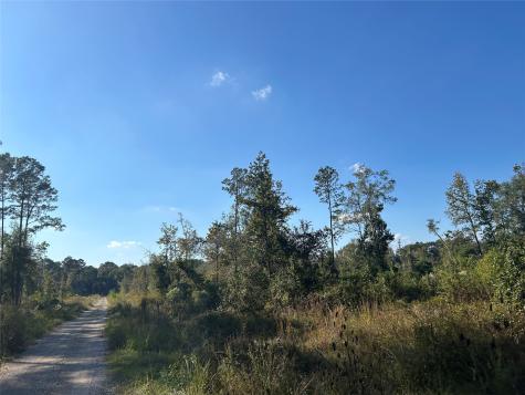 Lot 16 County Road 2235 Cleveland TX 77328