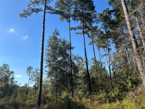 Lot 16 County Road 2235 Cleveland TX 77328
