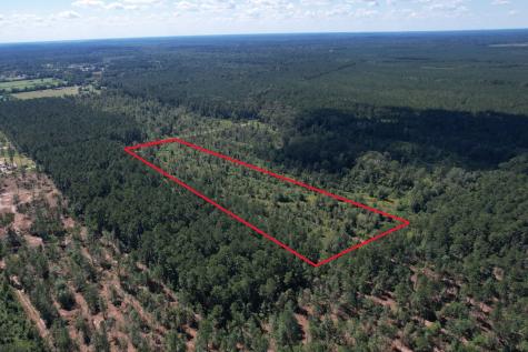 Lot 16 County Road 2235 Cleveland TX 77328