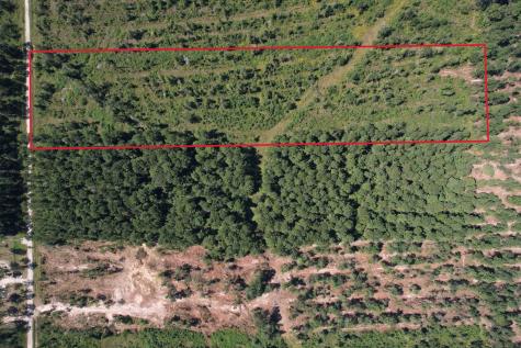 Lot 16 County Road 2235 Cleveland TX 77328