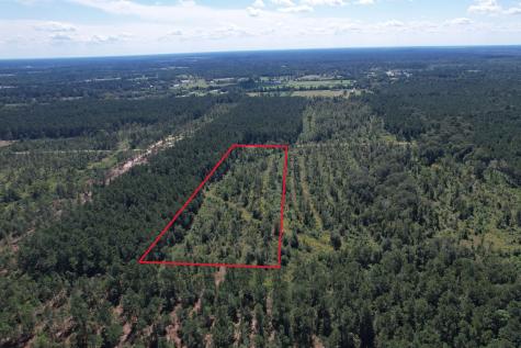 Lot 16 County Road 2235 Cleveland TX 77328
