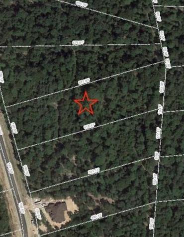7 Fire Sky Road Huntsville TX 77340