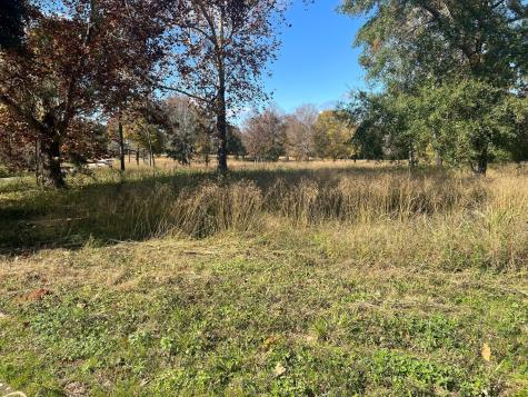 Tbd S Houston Avenue Livingston TX 77351