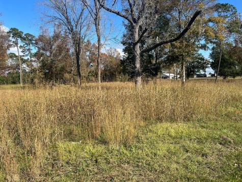 Tbd S Houston Avenue Livingston TX 77351
