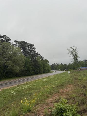 0 Pichetto Trail Livingston TX 77351