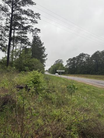 0 Pichetto Trail Livingston TX 77351
