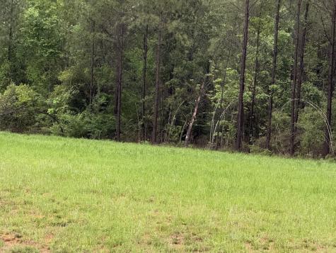 0 Pichetto Trail Livingston TX 77351
