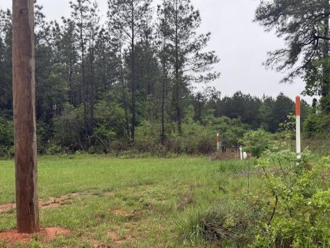 0 Pichetto Trail Livingston TX 77351