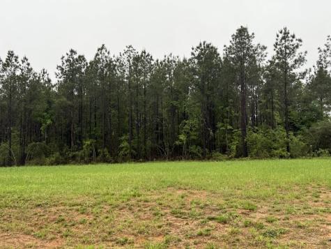 0 Pichetto Trail Livingston TX 77351