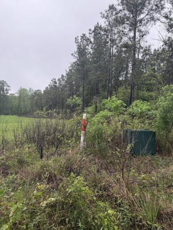 0 Pichetto Trail Livingston TX 77351