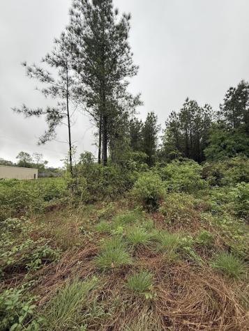 0 Pichetto Trail Livingston TX 77351