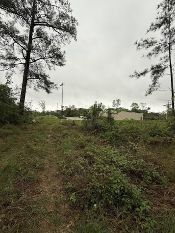 0 Pichetto Trail Livingston TX 77351