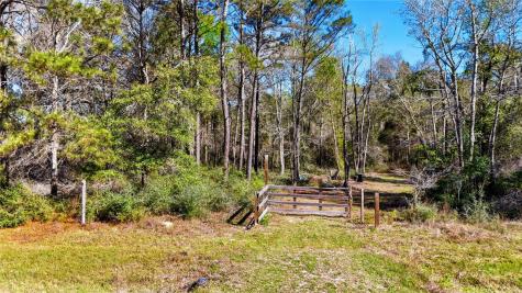21223 Peach Wood Cleveland TX 77328