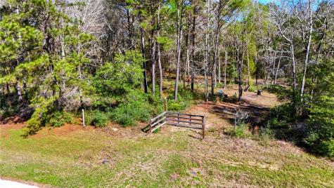 21223 Peach Wood Cleveland TX 77328