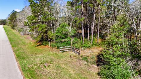 21223 Peach Wood Cleveland TX 77328