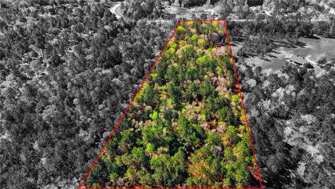 21223 Peach Wood Cleveland TX 77328