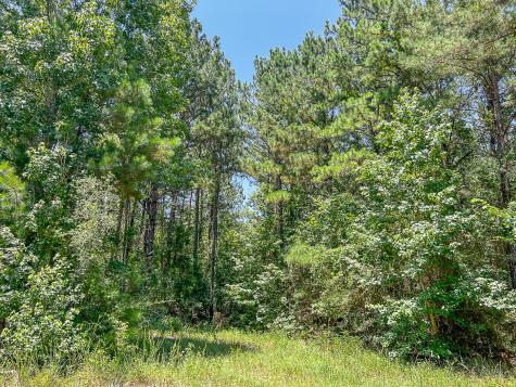 01 Creek 364 Zavalla TX 75980