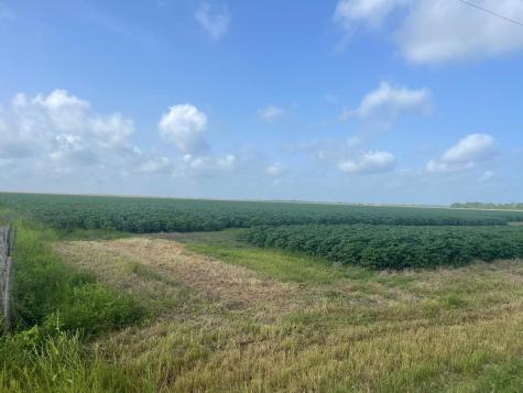 10815 Koym Road Beasley TX 77417