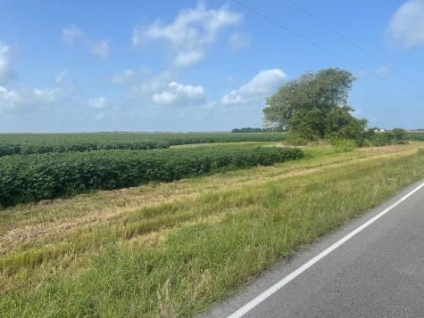 10815 Koym Road Beasley TX 77417