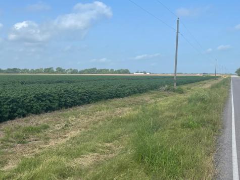10815 Koym Road Beasley TX 77417