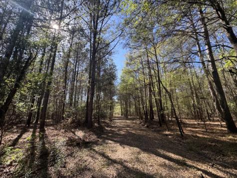 Tbd County Road 3930 Colmesneil TX 75938
