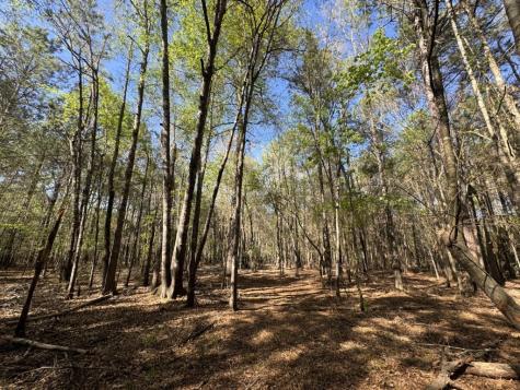Tbd County Road 3930 Colmesneil TX 75938