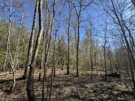 Tbd County Road 3930 Colmesneil TX 75938