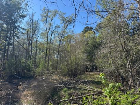 Tbd County Road 3930 Colmesneil TX 75938