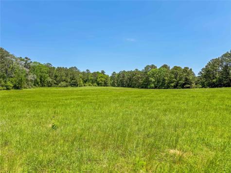 398 County Road 172 Jasper TX 75951