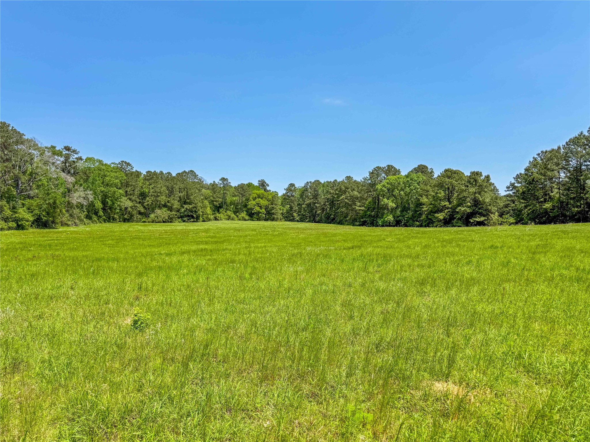 398 County Road 172 Jasper TX 75951