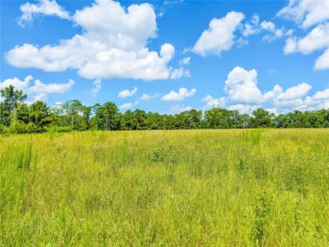 398 County Road 172 Jasper TX 75951