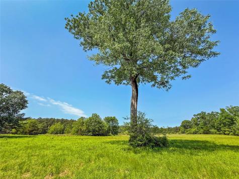 398 County Road 172 Jasper TX 75951