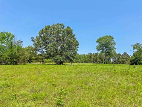 398 County Road 172 Jasper TX 75951