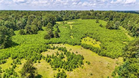 398 County Road 172 Jasper TX 75951