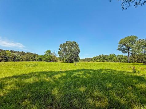 398 County Road 172 Jasper TX 75951